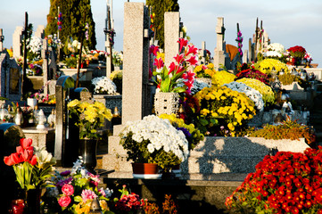Flowered Graves on All Saints Day - Poland