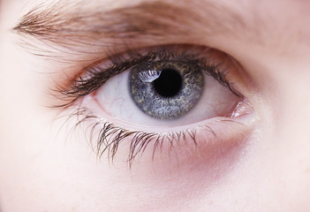 Obraz premium A beautiful insightful look eye. Close up shot