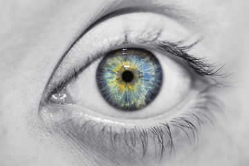 insightful look blue eyes