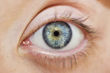 insightful look blue eyes