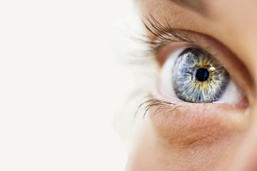 Naklejka premium wnikliwe spojrzenie niebieskie oczy