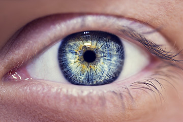 Beautiful insightful look  blue woman's eyes