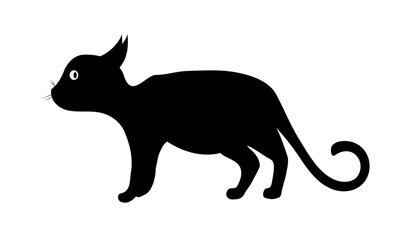 Кот, серия изображений-приключений про черного кота