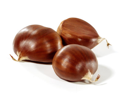 Three fresh shiny chestnuts isolated on a white background.
Soft focus.