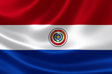 Paraguay's National Flag