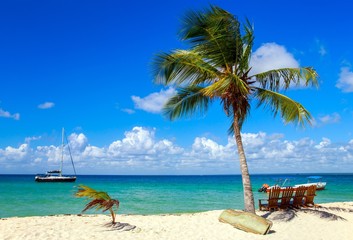 Obraz na płótnie Canvas Caribbean beach in Dominican Republic