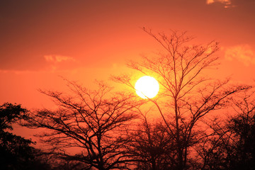 Sunset at Kwando River. Caprivi Strip, Namibia