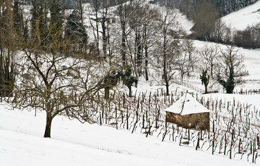 Allassac (Corrèze)
