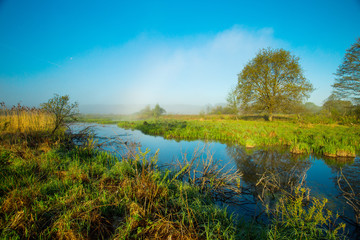 Foggy spring sunrise