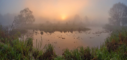 Obraz premium Foggy spring sunrise