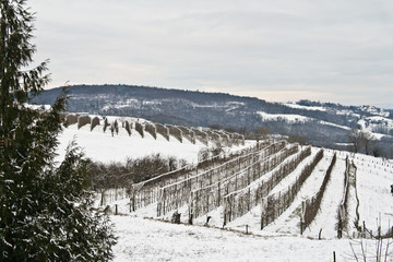 Allassac (Corrèze)