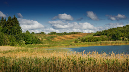 Summer cloudy day at the pond. Masuria, Poland