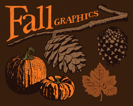 Fall Vector Graphics. Five vector fall graphics (two pine cones, two pumpkins, and a leaf), each on a separate layer.