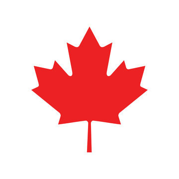 flat icon on white background Maple Leaf