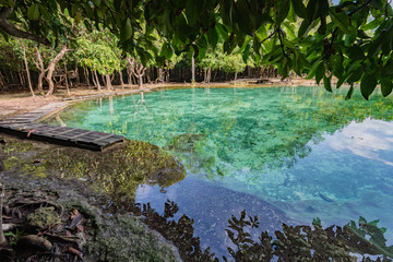 Emerald pool at Krabi Thailand