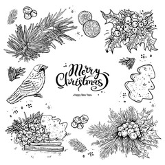 Christmas symbols, set. Holly, needles, bullfinch, calligraphy, black line on a white background, vector illustration