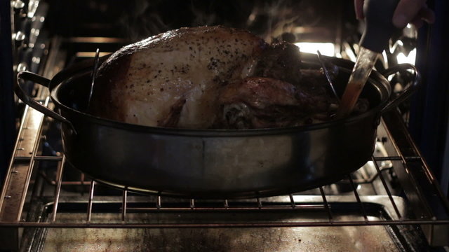 Closeup of a seasoned turkey in the oven being basted