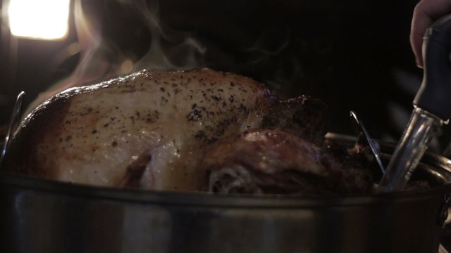 Closeup of a seasoned turkey in the oven being basted