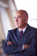 Fototapeta premium senior business man portrait