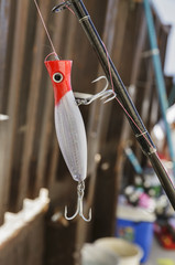 beautiful bait for fishing