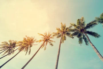 Meubelstickers Palmboom Vintage natuurfoto van kokospalm aan de tropische kust aan zee