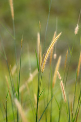 Broga Hill Malaysia..