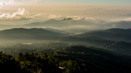 Morning fog in dense tropical rainforest, Misty mountain forest