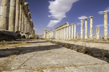 Apamea ruins, Syria