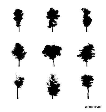 Set of tree silhouettes. Vector illustration.