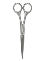 Closed scissors disposed by vertical