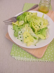 Basilikumsprossen auf grünem Salat und Olivenöl