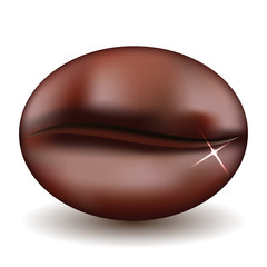 Bean coffee isolated 
