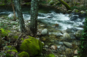 ARENAS DE SAN PEDRO GREDOS