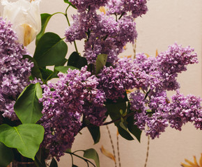 Lilac Branches In Room