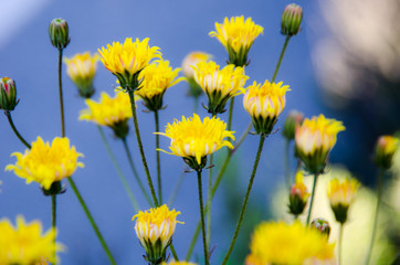 Obraz premium NATURALEZA SENDERISMO VALLE TIETAR