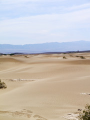 Dunes at Death Valley