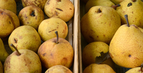 Ripe pears for sale on a  farmer`s market