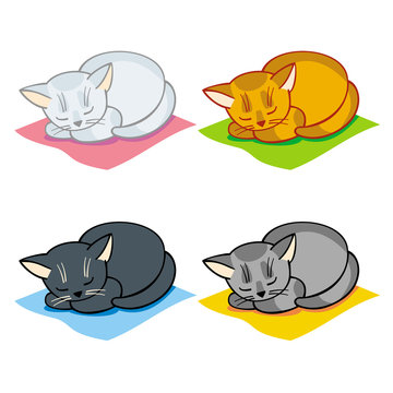 Image of a different-colored cats sleeping