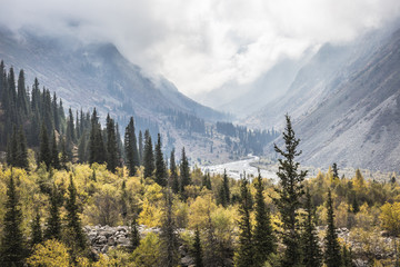 The panorama of mountain landscape of Ala-Archa gorge in the sum