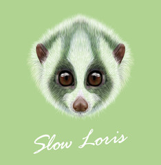 Slow Loris lemur animal cute face. Vector Asian jungle funny Slow Loris primate portrait. Realistic fur portrait of wild tropical Slow Loris monkey animal isolated on green background. © ant_art19