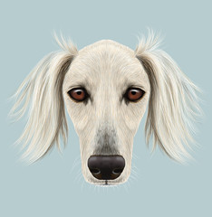 Obraz na płótnie Canvas Illustrated Portrait of Saluki Dog
