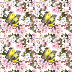 Birds and pink cherry and apple flowers. Seamless repeated floral pattern. Watercolor 