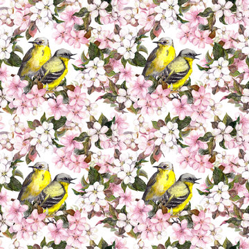 Birds and pink cherry and apple flowers. Seamless repeated floral pattern. Watercolor 