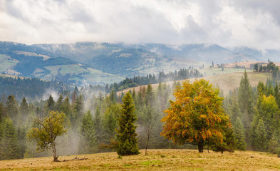 Carpathians nature