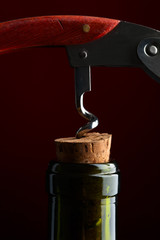 wine bottle and corkscrew