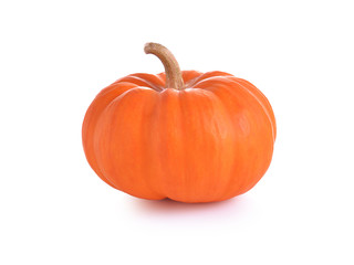 Obraz premium pumpkin on white background