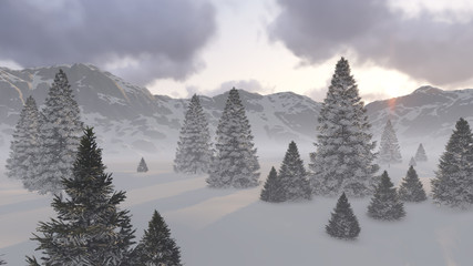 Trees in mountains