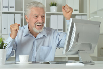 Mature businessman working with laptop