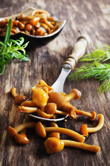 homemade marinated mushrooms