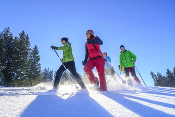 fröhliche Schneeschuhwanderung 